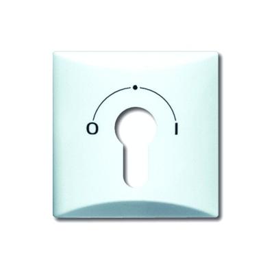Busch-Jaeger 2CKA001710A1837 Sleutelschakelaar, Sleuteltoets Afdekking Allweather 44 (IP44) Wit, Parel-wit 1 stuk(s)