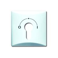 Busch-Jaeger 2CKA001710A1837 Sleutelschakelaar, Sleuteltoets Afdekking Allweather 44 (IP44) Wit, Parel-wit 1 stuk(s) - thumbnail