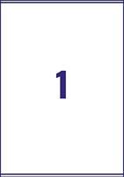 Avery L7167B-100 BlockOut zelfklevende etiketten QuickPeel, ft 199,6 x 289,1 mm (b x h), 100 etiketten - thumbnail