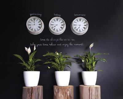 Pot - ARTEVASI - SAN REMO - 36 br - Donkerrood