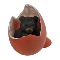 Groeiende Zwarte Beer in Ei - thumbnail