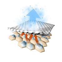 Löffler Löffler | Transtex Light | Heren T-shirt - thumbnail