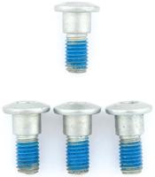 TRW bouten-set screw set 4pcs. m8x1,25 - thumbnail