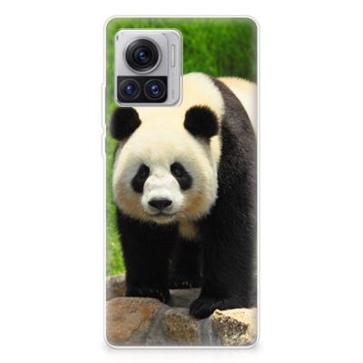 Motorola Moto X30 Pro | TPU Hoesje | Panda Motorola Moto X30 Pro | TPU Hoesje | Panda