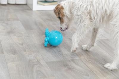 Hondenspeelgoed Trixie Snacks