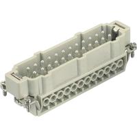 HARTING 09330242611 Pin-inzetstuk Han® E 24 + PE Schroeven 1 stuk(s) Piece - thumbnail