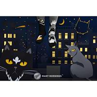 Many Mornings Black Cat / zwarte kat - mismatched sokken met kat, zwart, grijs, wit., 35 EU - thumbnail