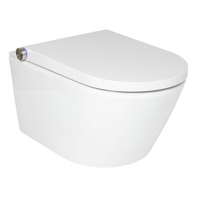 Douche WC RapoWash Basic met Bidetspoeler en Afstandsbediening Rimless Wit