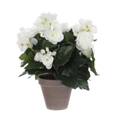 Kunstplant mica begonia wit in pot stan grijs | 6 stuks