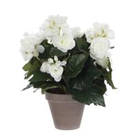 Kunstplant mica begonia wit in pot stan grijs | 6 stuks - thumbnail