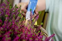 Gloria Haus und Garten 000950.0000 AutoPump Mini Tuinverstuiver 1 l Geel, Blauw - thumbnail