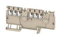 Weidmüller 1988280000 Doorgangsklem 3.1 mm Spanveer Grijs 50 stuk(s) - thumbnail