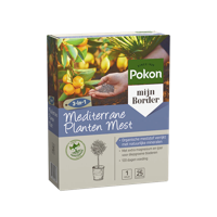 Pokon mediterrane planten voeding 1 kg - thumbnail