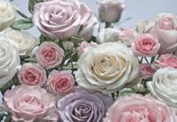 Komar Home; Komar Colours Fotobehang Floraison - 8-736 - thumbnail