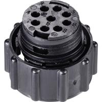 TE Connectivity 205842-1 Ronde connector Stekker, recht Totaal aantal polen: 63 Serie (ronde connectoren): CPC 1 stuk(s) - thumbnail