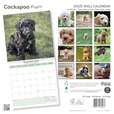 Cockapoo Puppies Kalender 2026