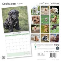 Cockapoo Puppies Kalender 2026 - thumbnail