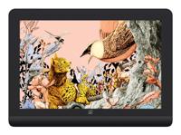 XP-Pen - Artist Pro 16 Gen 2 - thumbnail