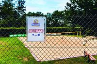 Durable 502819 Posterhouder Transparant (b x h x d) 350 x 460 x 0.6 mm 1 x DIN A3 - thumbnail