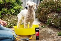Animology Dogs Body Shampoo - thumbnail