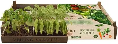 Vegetable Garden Crate - Jouw eigen groentetuin in een kist