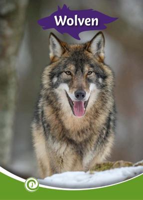 Wolven (Hardback) Wolven (Hardback)