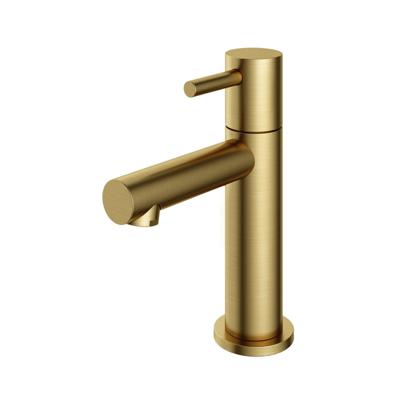 Fonteinkraan Hotbath Dude 1-hendel Recht 14.8 cm Rond Geborsteld Messing PVD