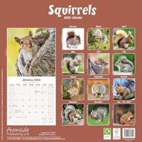 Eekhoorn Kalender 2026 - thumbnail