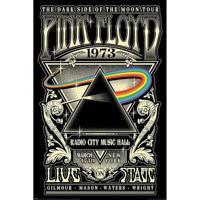 Poster Pink Floyd - 1973 61x91,5cm - thumbnail