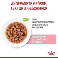 Royal Canin Sterilised Gravy 12x85g - thumbnail