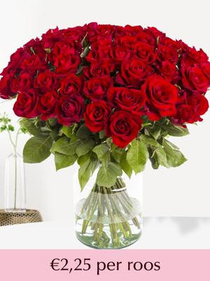 Rode rozen - XL rozen 60 cm - 10 t/m 99 rozen - EverRed Rode rozen - XL rozen 60 cm - 10 t/m 99 rozen - EverRed
