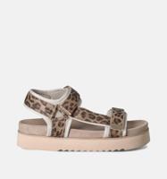 Maruti Beau 66.1653.01-DJN Bruin-37 maat 37 - thumbnail