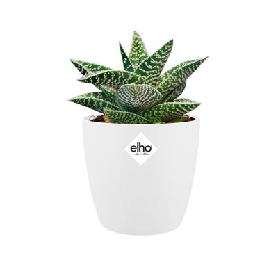 Elho Brussels Mini bloempot rond 10,5 cm wit - thumbnail