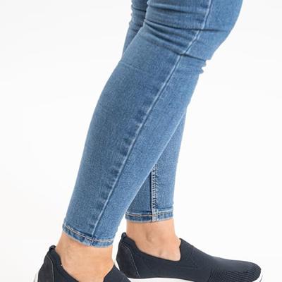 Ara 1254042 - alle Ara 1254042 - alle