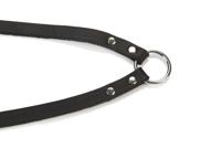 BZ KOPPEL 2 HOND ZWT 30X12 - thumbnail