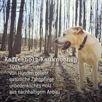 Koffiehout-kauwstok xs 1st - thumbnail