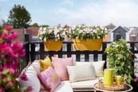 Elho Vibia Campana flower bridge 60 cm honinggeel - thumbnail