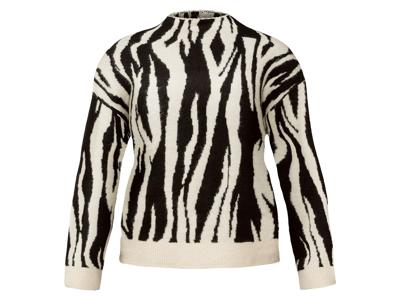esmara Dames trui (Zebra, S (36/38))