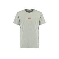 America Today T-shirt met borduursels grijs melange - thumbnail