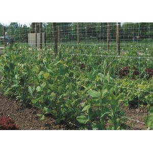 Nature klimnet voor planten groen 2x5 m 6030430