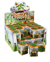 Greengift Suzanne met de mooie ogen in showdoos - thumbnail