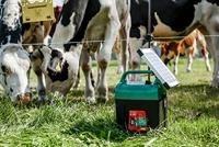 AKO powershock b290 - thumbnail