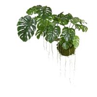 Monstera kunst Hanger M op Mosbol - thumbnail