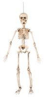 Hangdecoratie beweegbaar skelet 50 cm Halloween Boland Timstor - Timstor - thumbnail