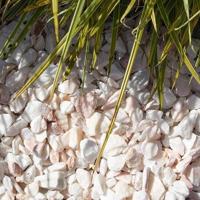 Rosa Milano grind Minibag - 750kg - thumbnail