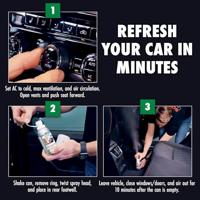 SONAX aircoreiniger "klimapowercleaner airaid". klimapowercleaner 100 ml - thumbnail