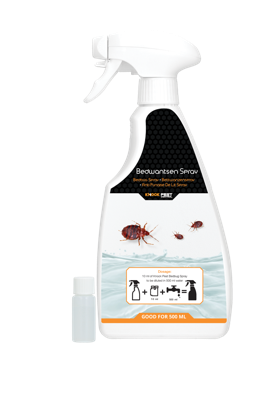 Knock Pest Bedwantsen Spray