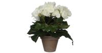 Mica Decorations kunstplant begonia 25cm wit - thumbnail