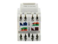 Equip 769213 keystonemodule - thumbnail