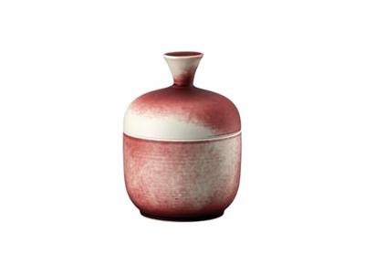 ROSENTHAL - Bloom Scarlet - Doosje 0,30l
